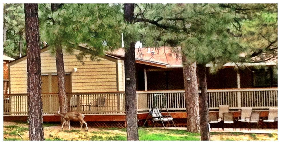 Village Lodge Ruidoso Εξωτερικό φωτογραφία